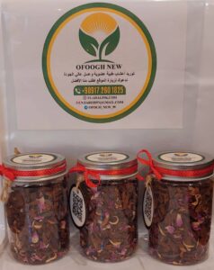 WhatsApp Image 2025-02-26 at 12.31.37 (2)